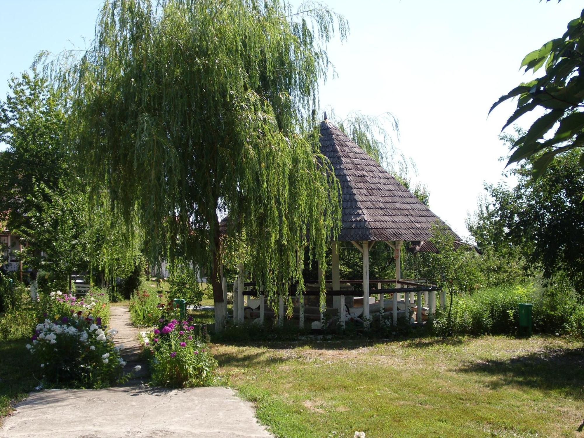 Padurea De Argint Villa Văratec Buitenkant foto