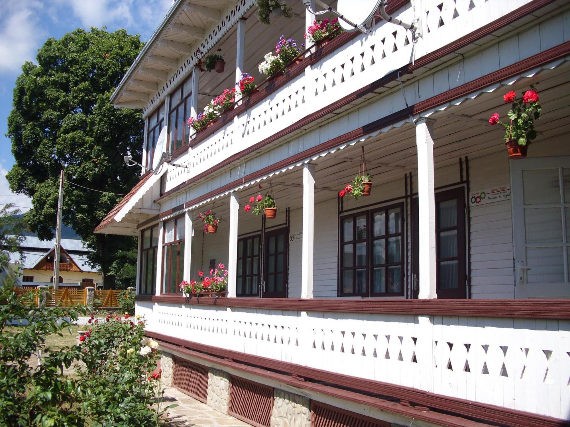 Padurea De Argint Villa Văratec Buitenkant foto